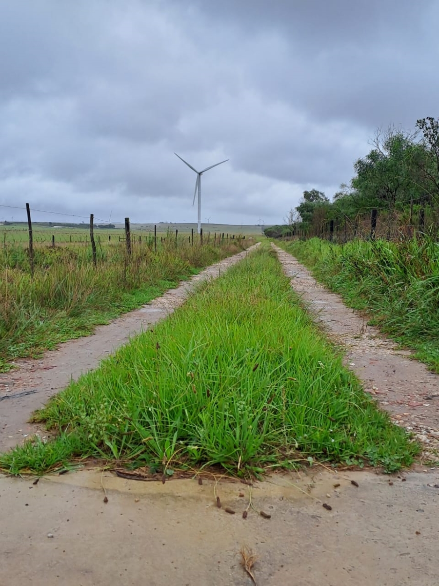 Commercial Property for Sale in St Francis Bay Rural Eastern Cape